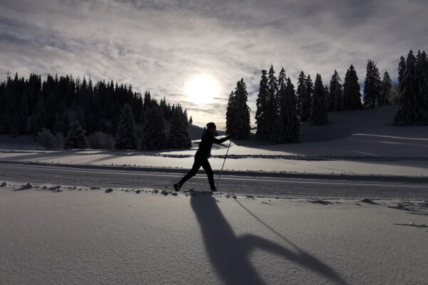 Une météo favorable au ski de fond